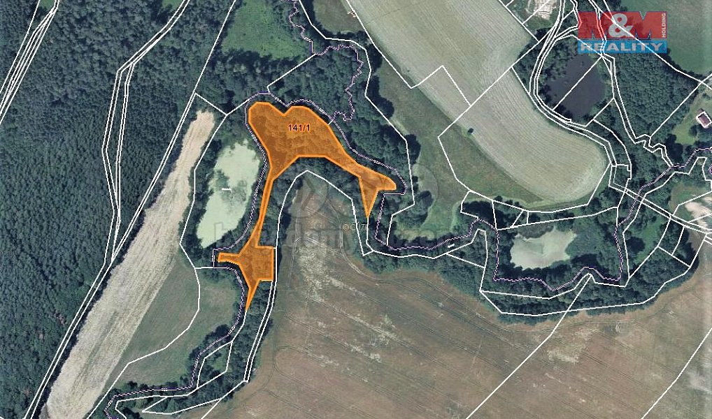 Prodej lesa 8 570 m², Česká Lípa – náhled fotky 4