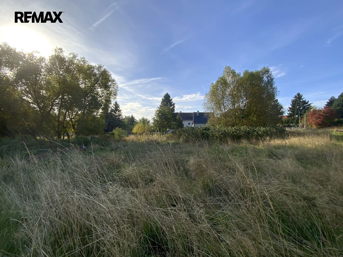 Prodej louky 2 155 m² – fotografie 3