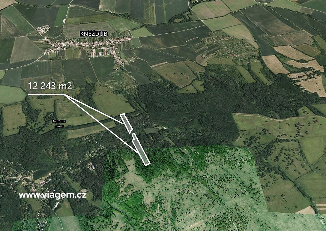Prodej lesa 3 060 m²
