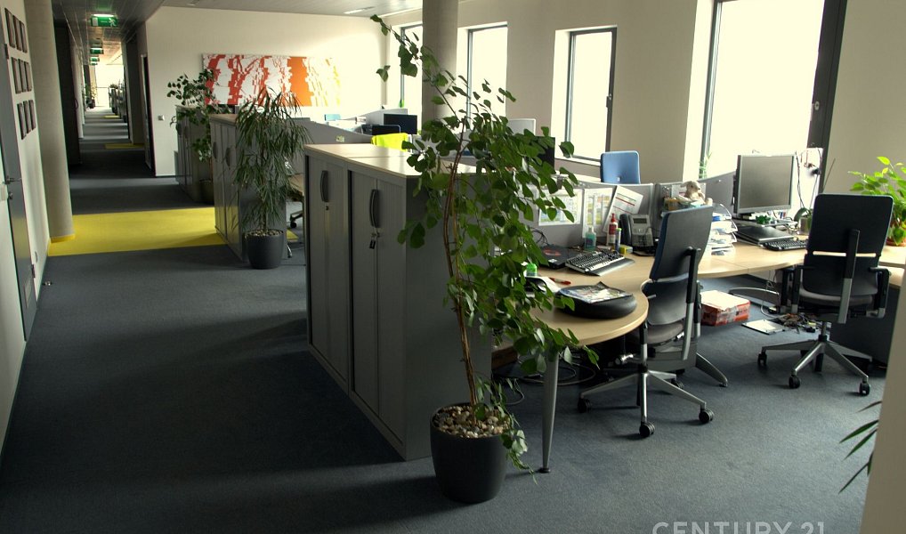 Pronájem kanceláře 239 m², Praha – náhled fotky 26