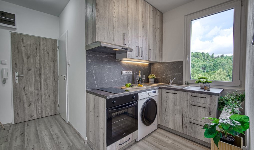 Pronájem bytu 1+kk, 25 m², Jablonec nad Nisou, Tanvald