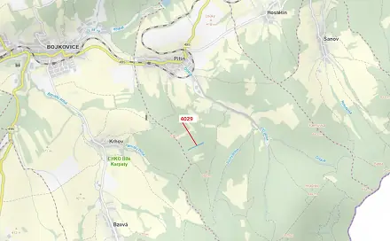 Dražba lesa 5 996 m², Pitín