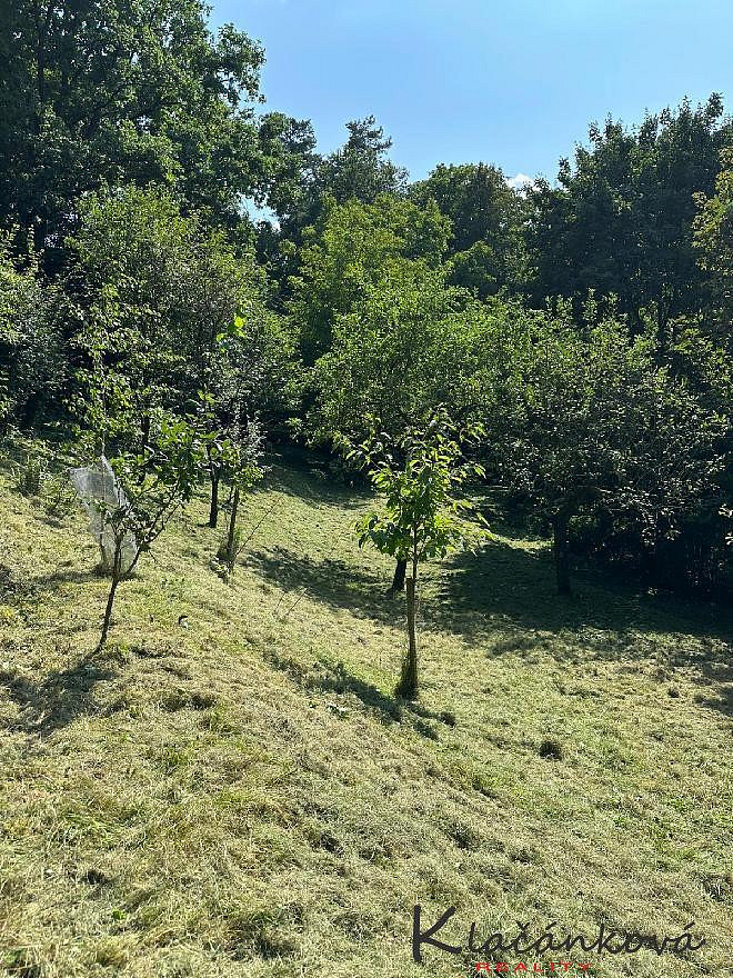 Prodej stavebního pozemku 893 m² — photo 3
