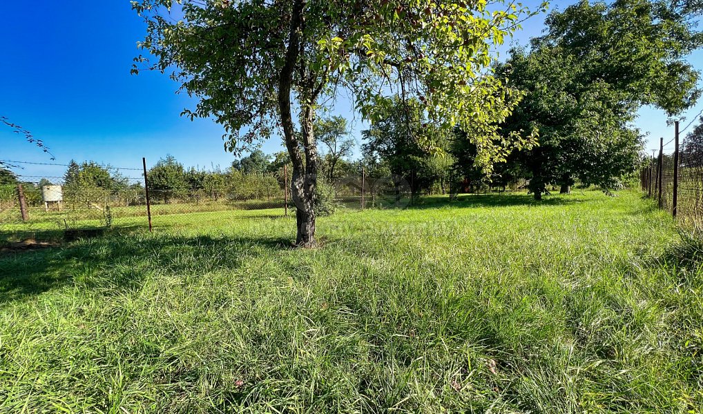 Prodej domu 250 m² s pozemkem 1 268 m², Kojetín – náhled fotky 7