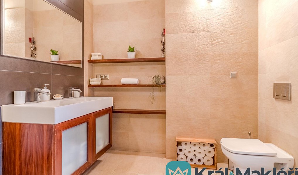 Prodej domu 242 m² s pozemkem 1 167 m², Ústí nad Labem – náhled fotky 11