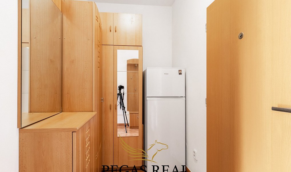Pronájem bytu 1+kk 40 m², Brno – náhled fotky 6