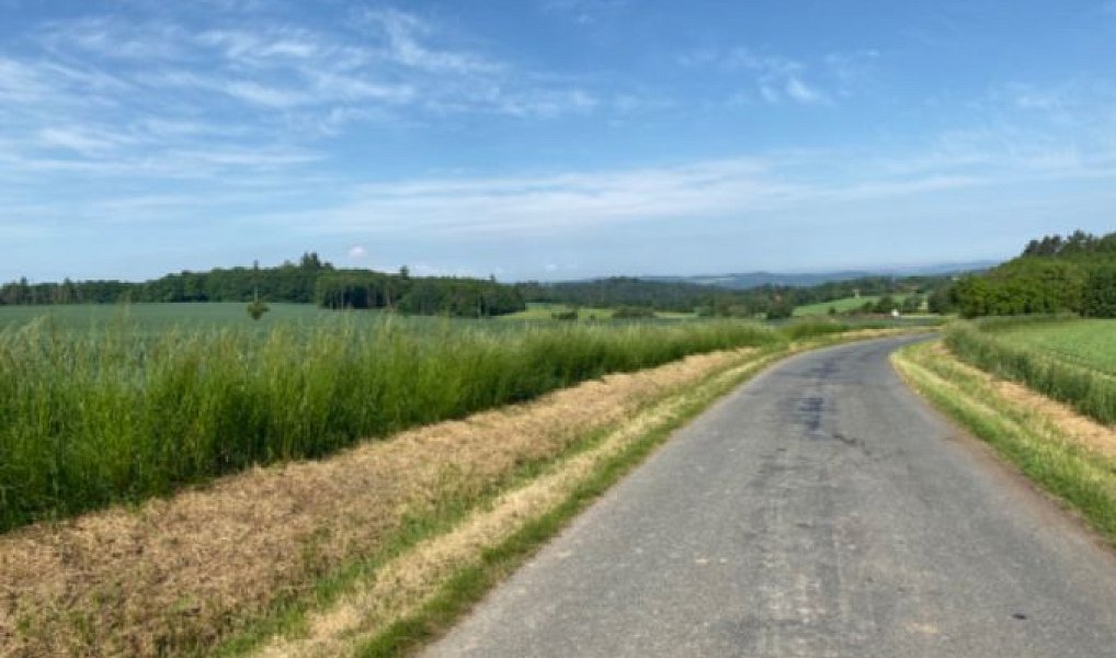 Prodej stavebního pozemku 8 669 m², Zbizuby – náhled fotky 3
