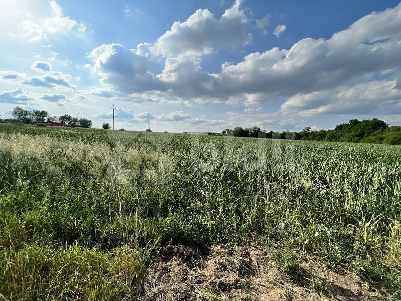 Prodej komerčního pozemku 10 571 m² – fotografie 5