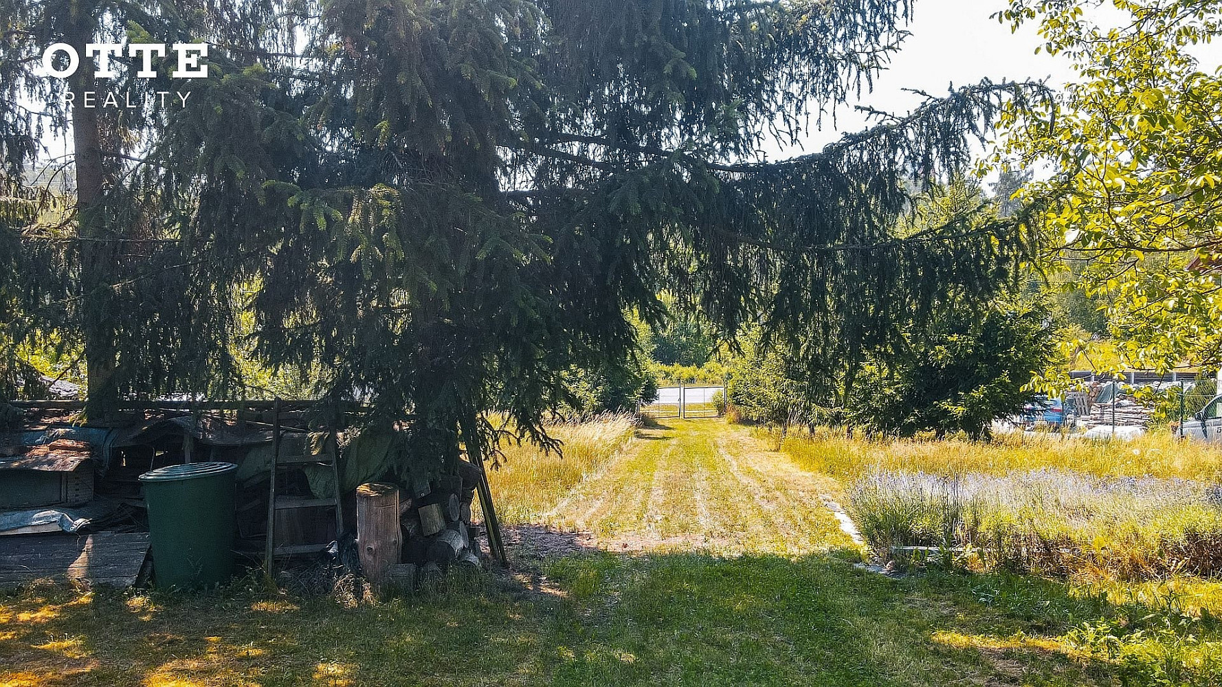 Fotka 10 z 30
