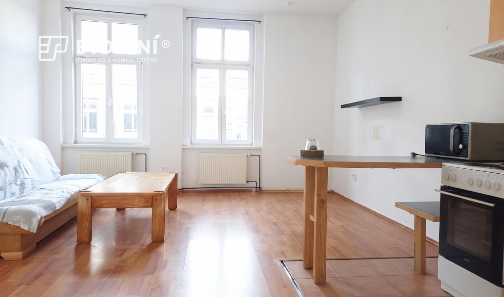 Pronájem bytu 1+1 48 m², Teplice – náhled fotky 7