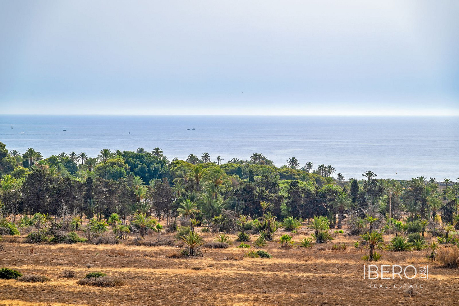 Piso 3+kk – Punta Prima - Vista 3