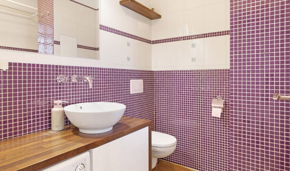 Prodej bytu 1+1 37 m², Frýdek-Místek – náhled fotky 7