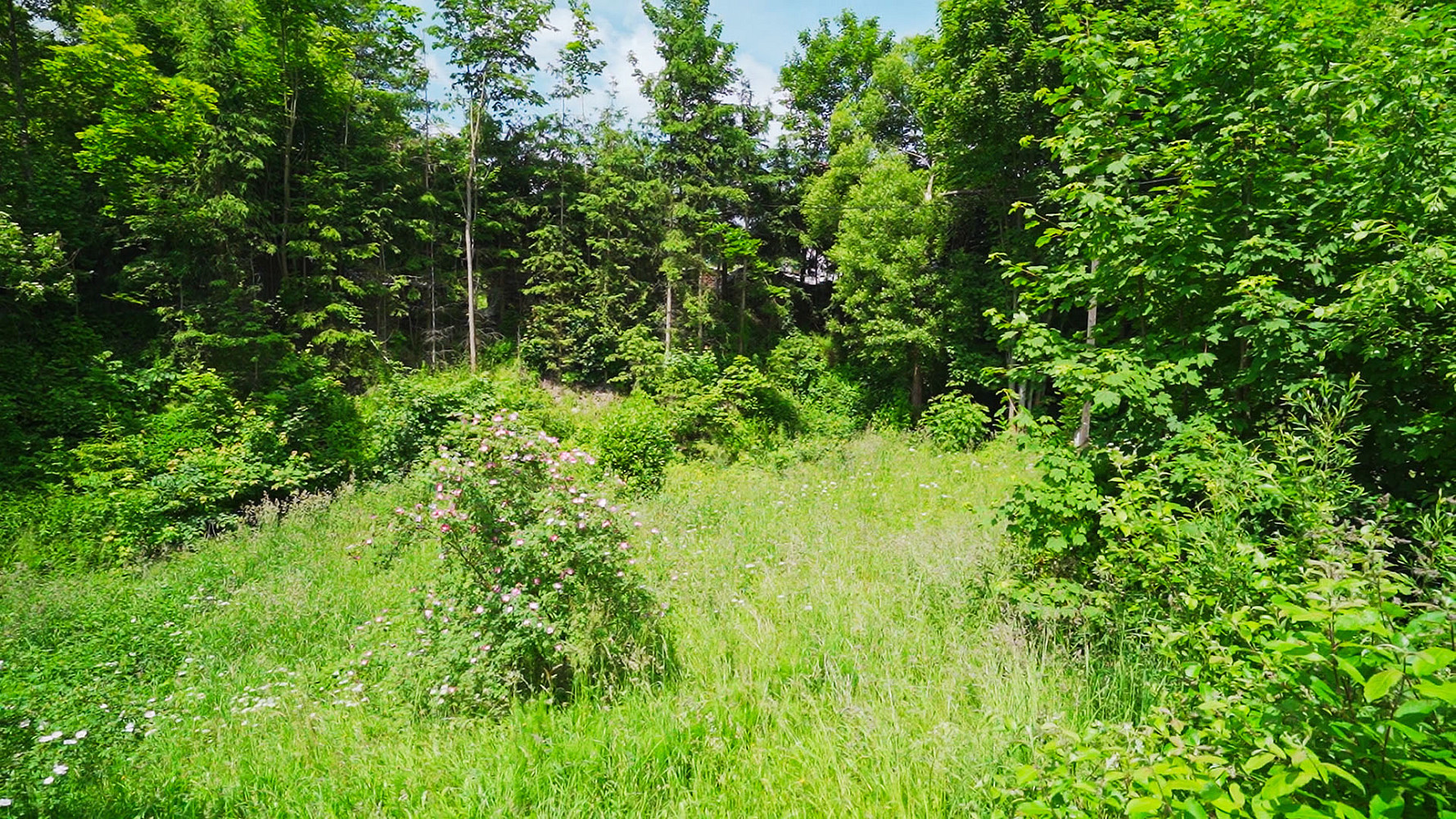 Stavební pozemek 1 280 m² v Poniklé – další