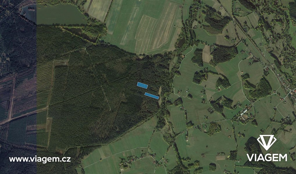 Prodej lesa 13 912 m², Suchdol nad Lužnicí – náhled fotky 3