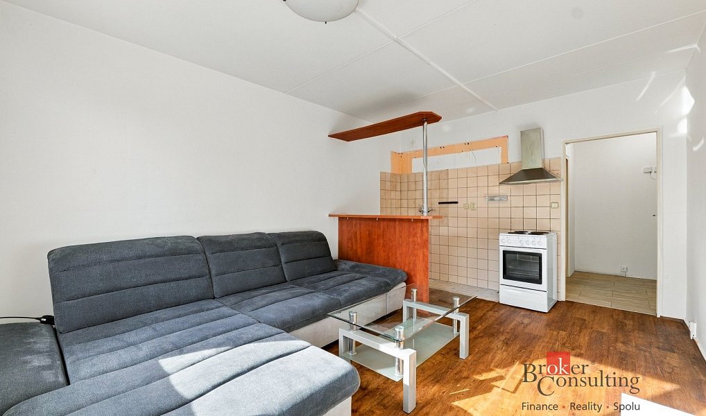 Prodej bytu 1+1 48 m², Plzeň – fotka 1 z 22