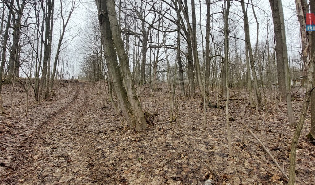 Prodej pozemku 1 220 m², Budišov nad Budišovkou – náhled fotky 4
