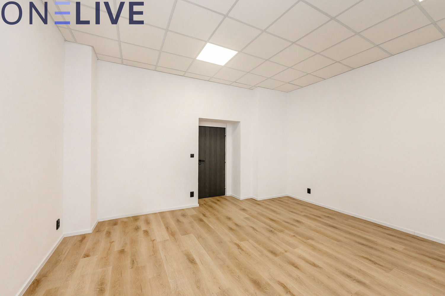 Pronájem kanceláře 22 m² – fotografie 5