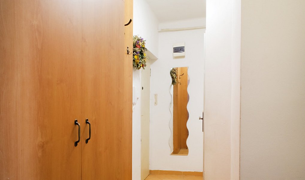 Prodej bytu 2+1 42 m², Ostrava – náhled fotky 10