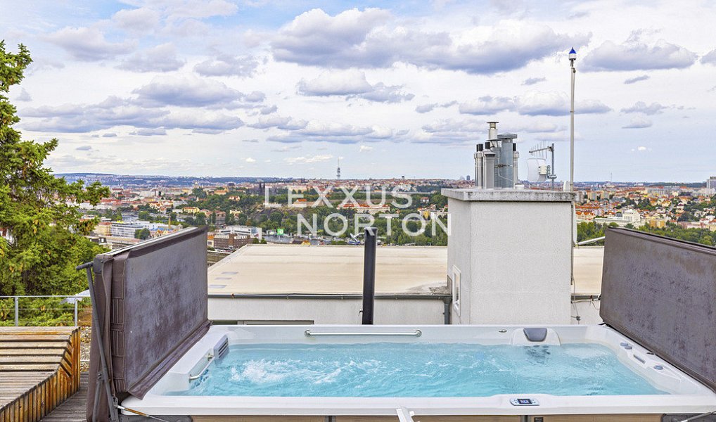 Pronájem bytu 5+kk 202 m², Praha – náhled fotky 3