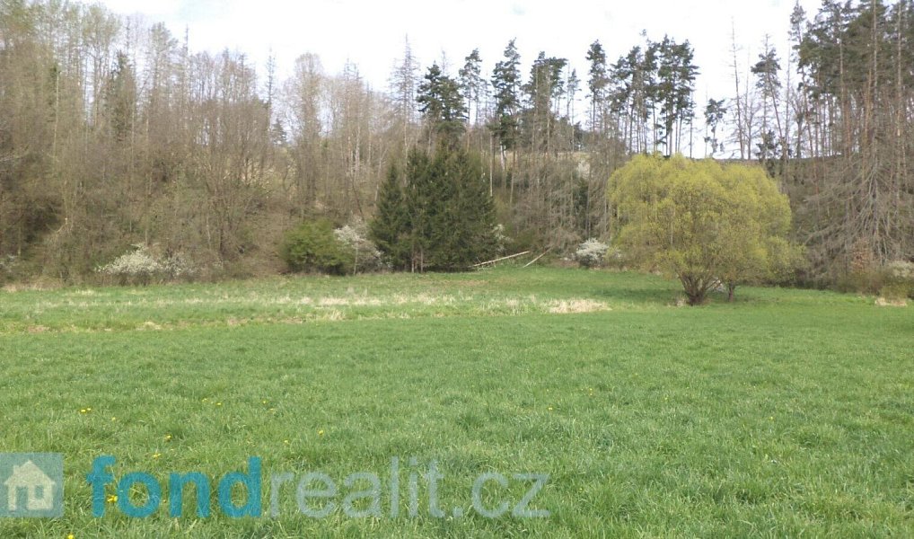 Prodej pozemku 2 759 m², Dešná – náhled fotky 3