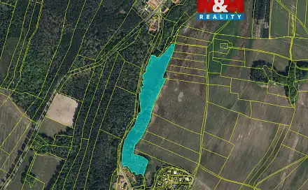 Prodej lesa 21 459 m², Jankovice - Seník, okres Pardubice
