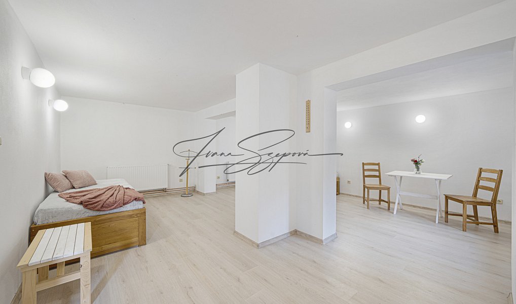 Prodej ubytovacího objektu 594 m², Olešná – náhled fotky 26