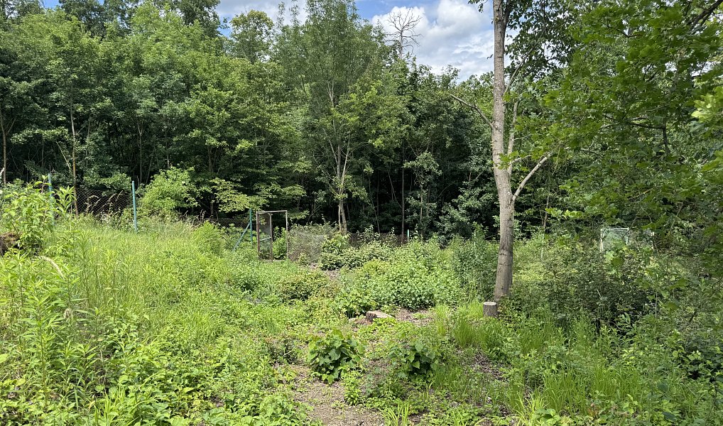Prodej zahrady 731 m², Brno – náhled fotky 4