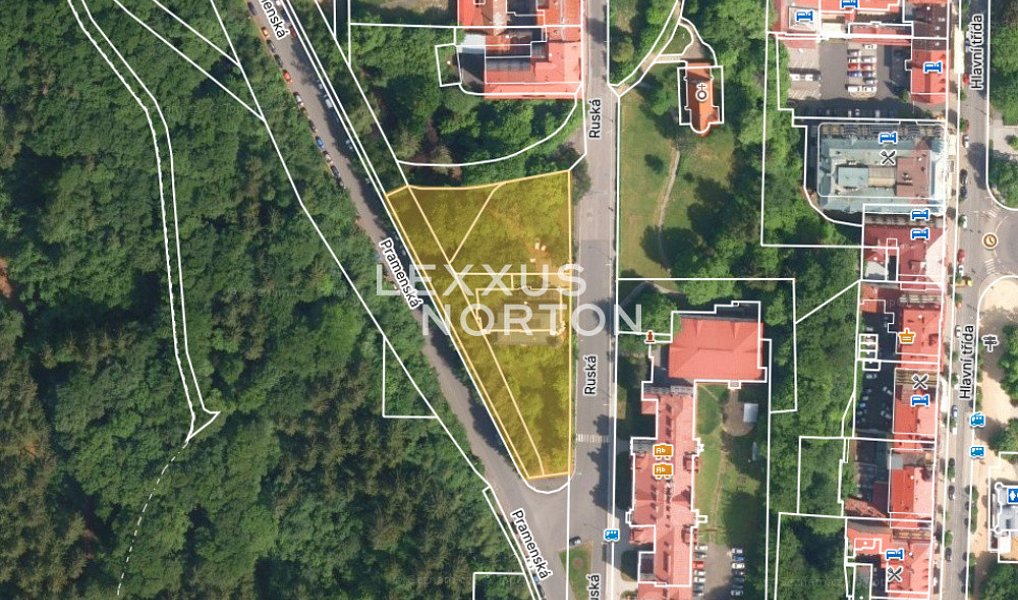 Prodej komerčního pozemku 4 000 m², Mariánské Lázně – náhled fotky 6