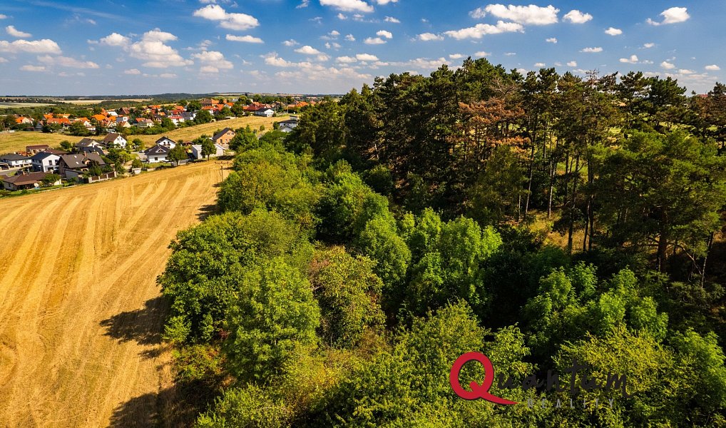 Prodej stavebního pozemku 16 339 m², Brandýsek – náhled fotky 35