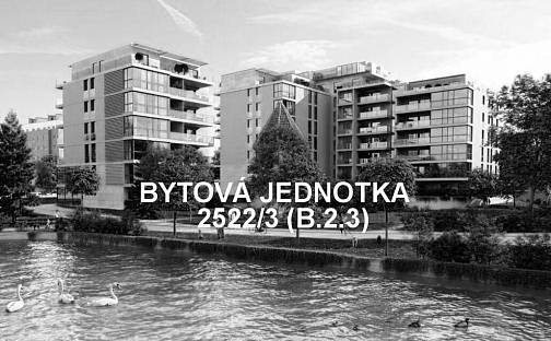 Pronájem bytu 2+kk 62 m², Radimova, Praha 6 - Břevnov