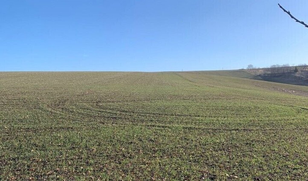 Prodej stavebního pozemku 502 m², Heršpice – náhled fotky 2