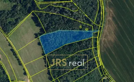 Prodej lesa 7 323 m², Březina, okres Brno-venkov