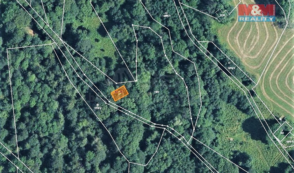 Prodej lesa 4 983 m², Trutnov – náhled fotky 3
