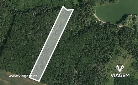 Prodej lesa 1 259 m², Prštice, okres Brno-venkov