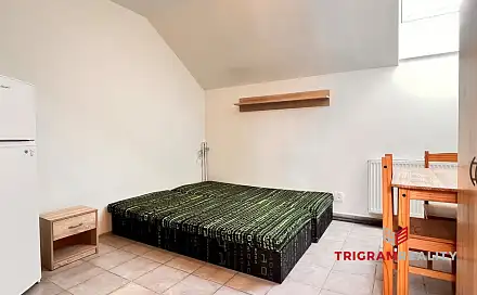 Pronájem bytu 1+kk 17 m²