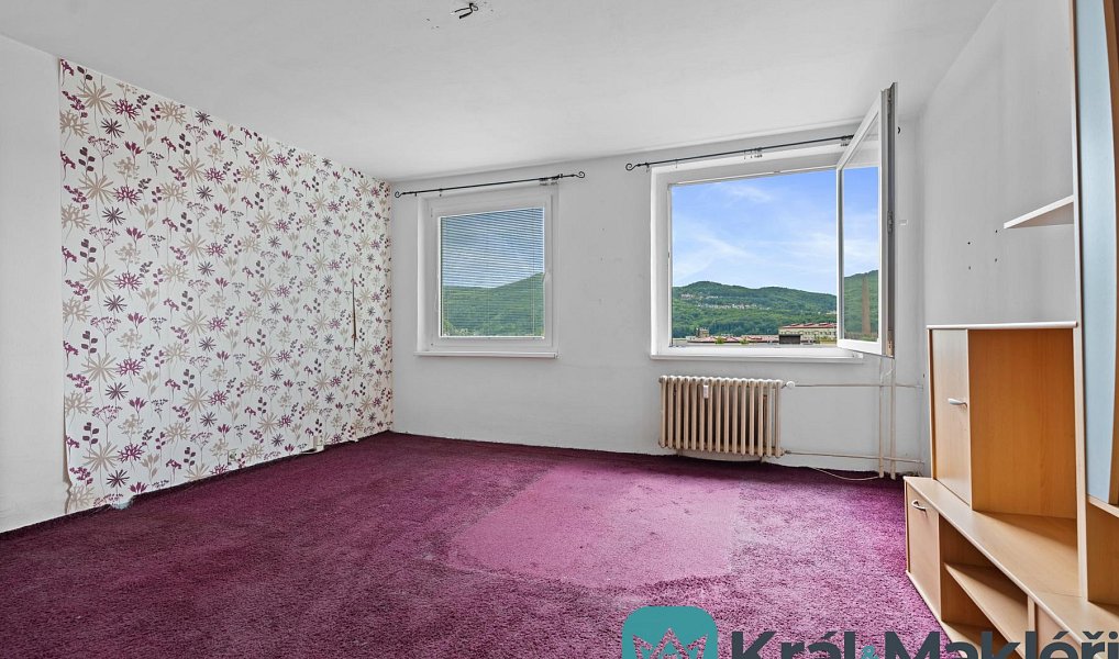 Prodej bytu 2+kk 48 m², Ústí nad Labem – náhled fotky 2
