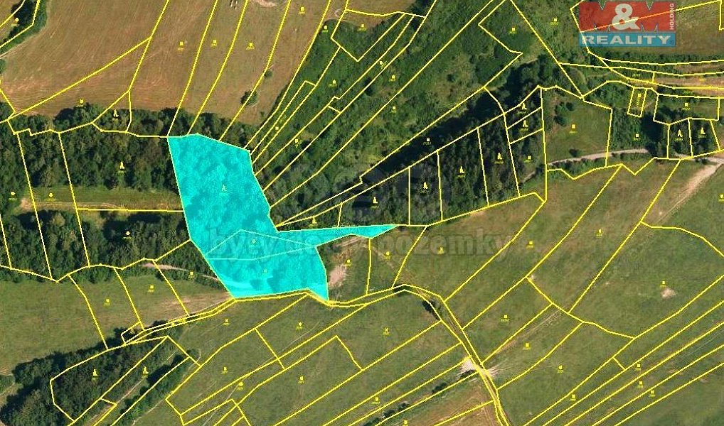 Prodej lesa 8 229 m², Halenkov – náhled fotky 4