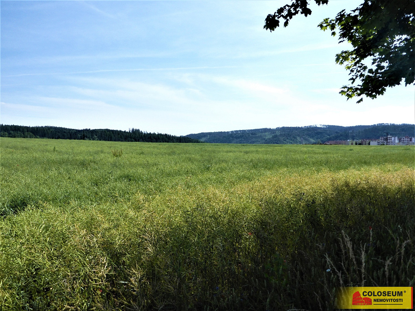 Prodej pole 7 225 m² – fotografie 4