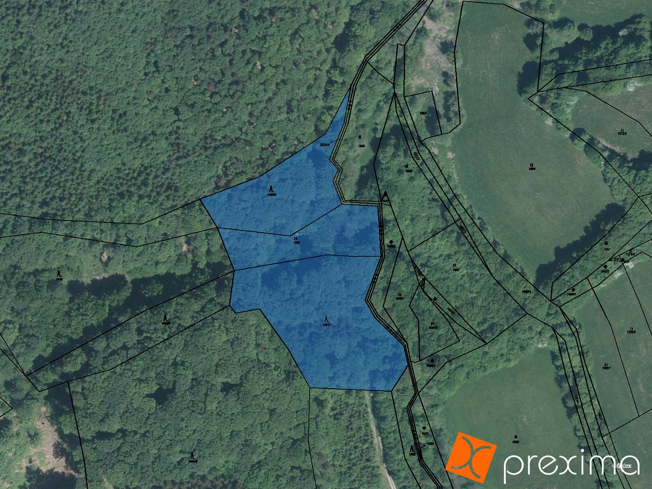 Prodej lesa 2 094 m²