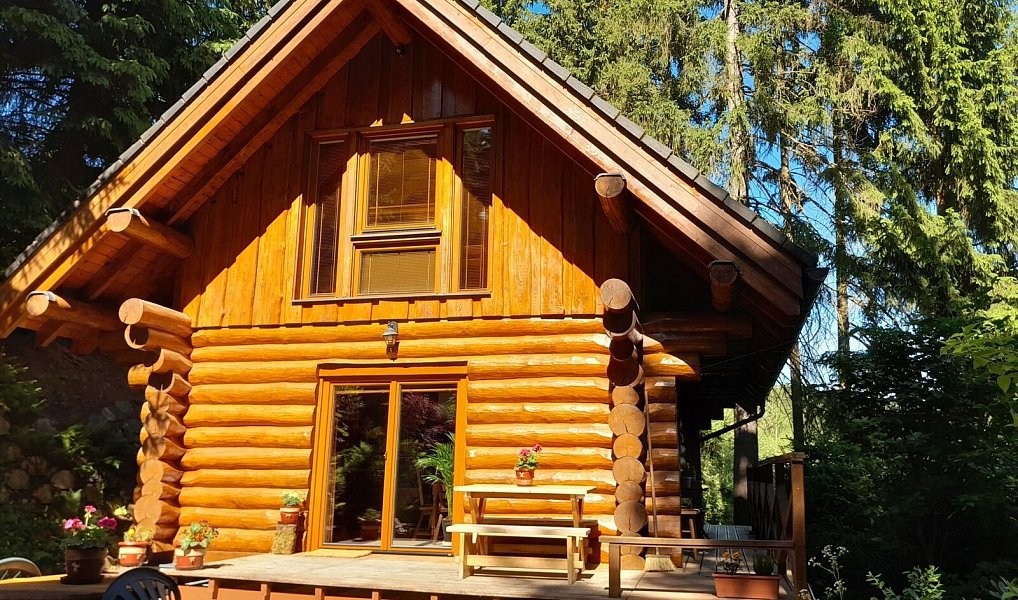 Prodej chaty/chalupy 83 m² s pozemkem 350 m², Plavy – náhled fotky 9