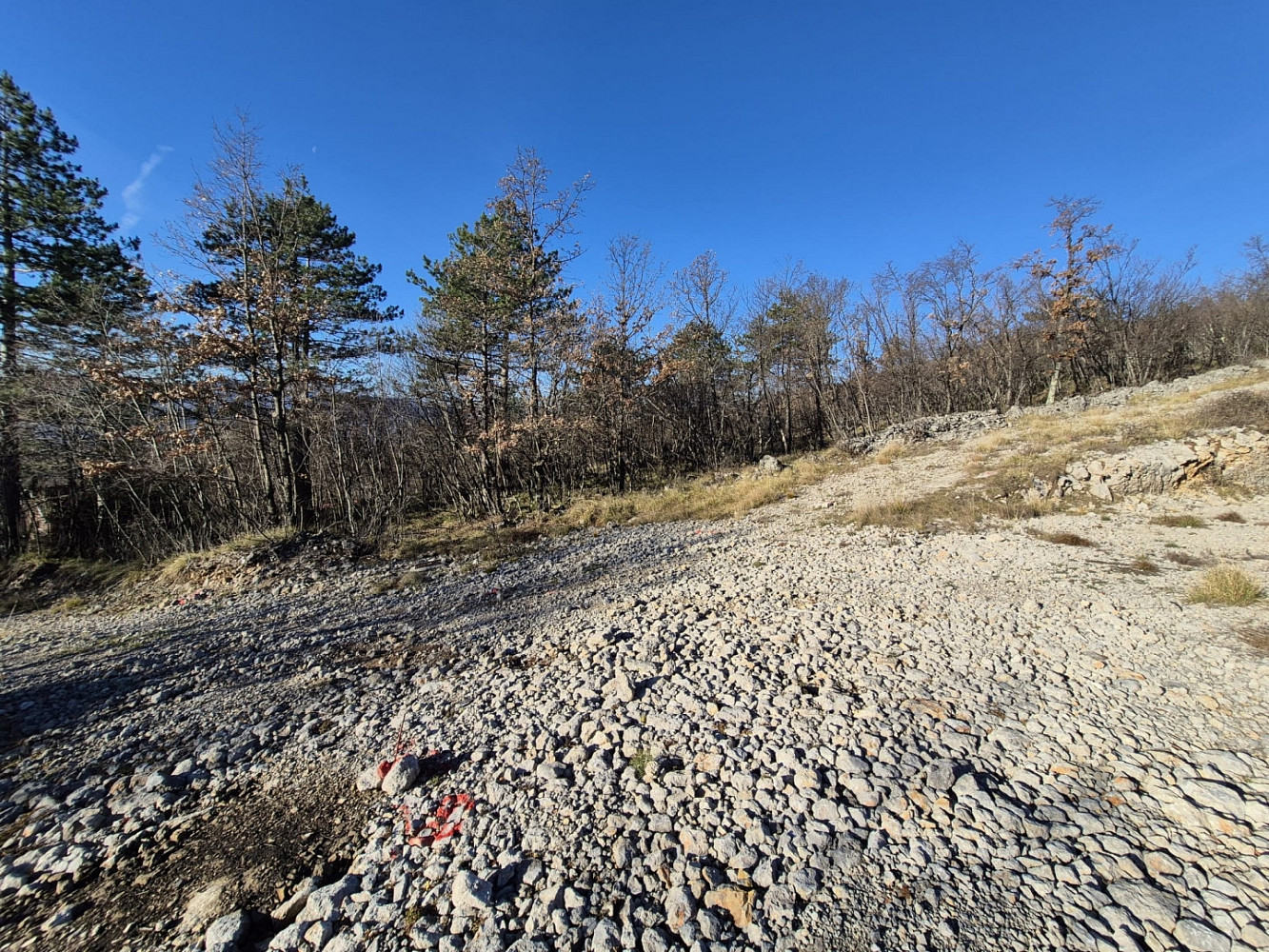 Fotka 6 z 18