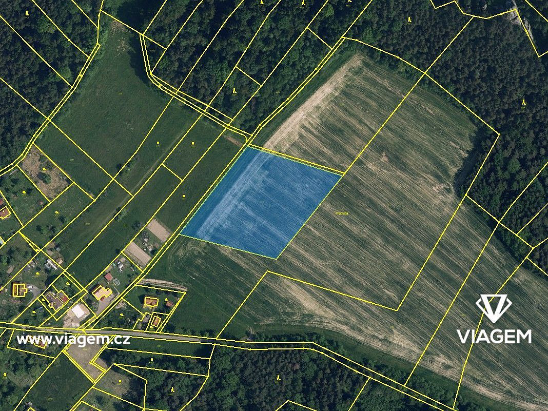 Prodej pole 2 399 m² – fotografie 2