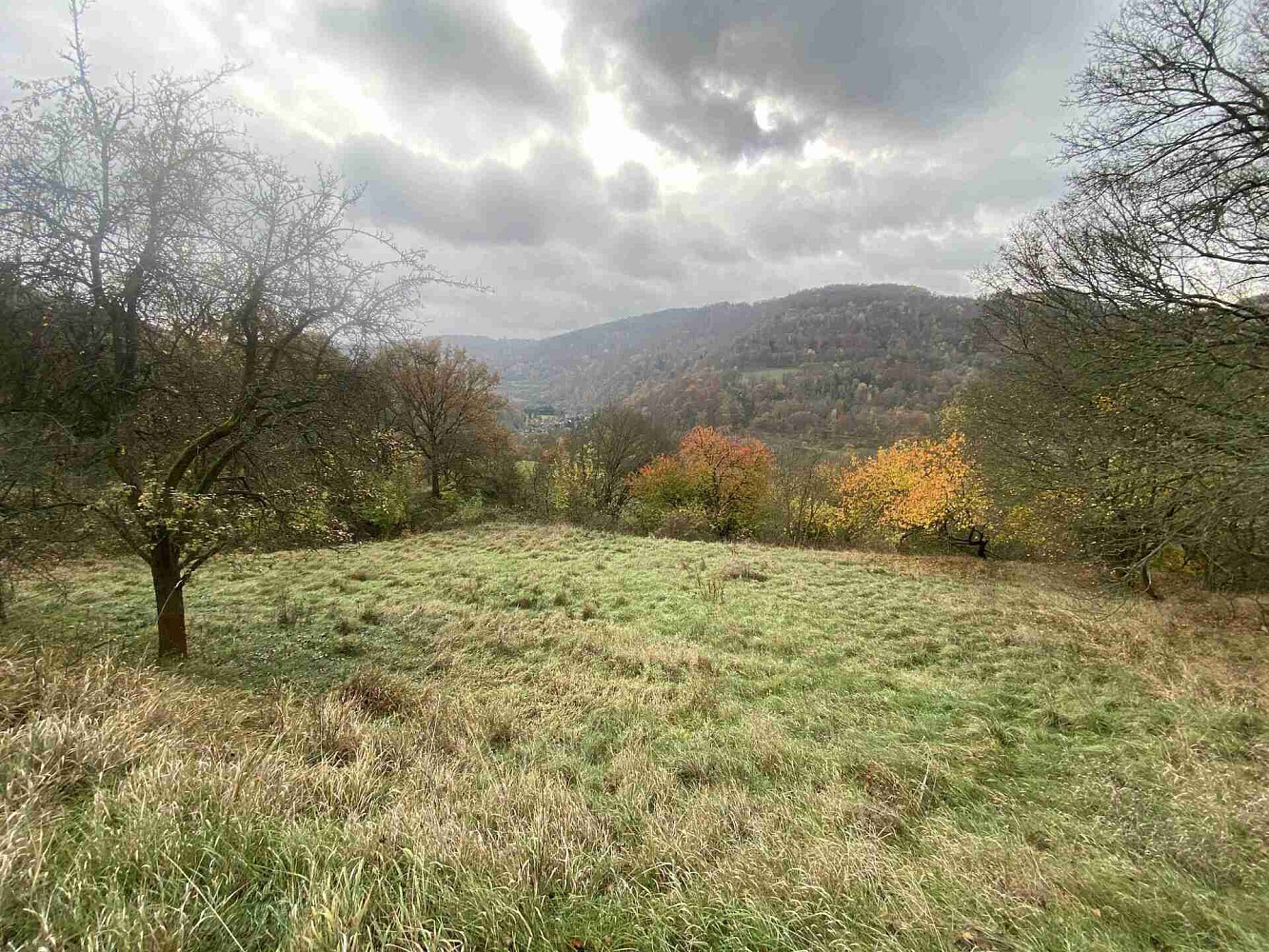 Prodej pozemku 4 431 m² – fotografie 5