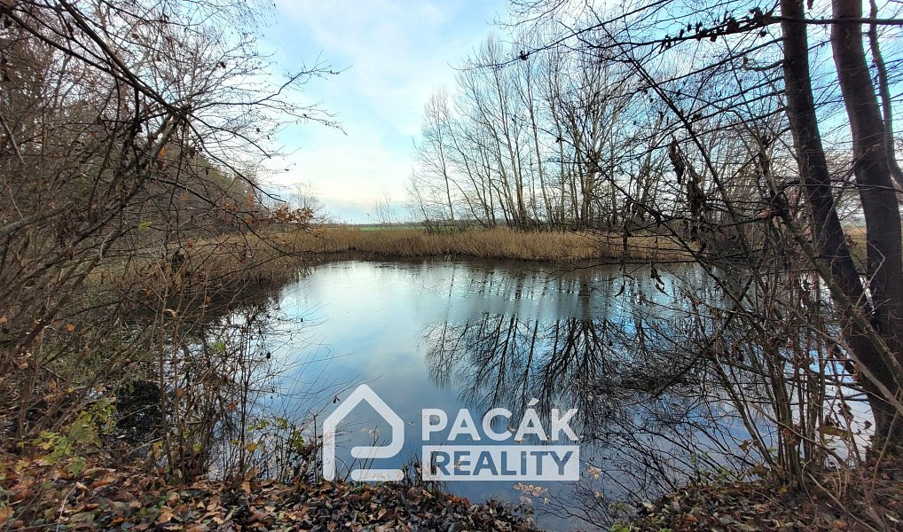 Prodej pozemku 15 995 m², Kožušany-Tážaly – náhled fotky 9
