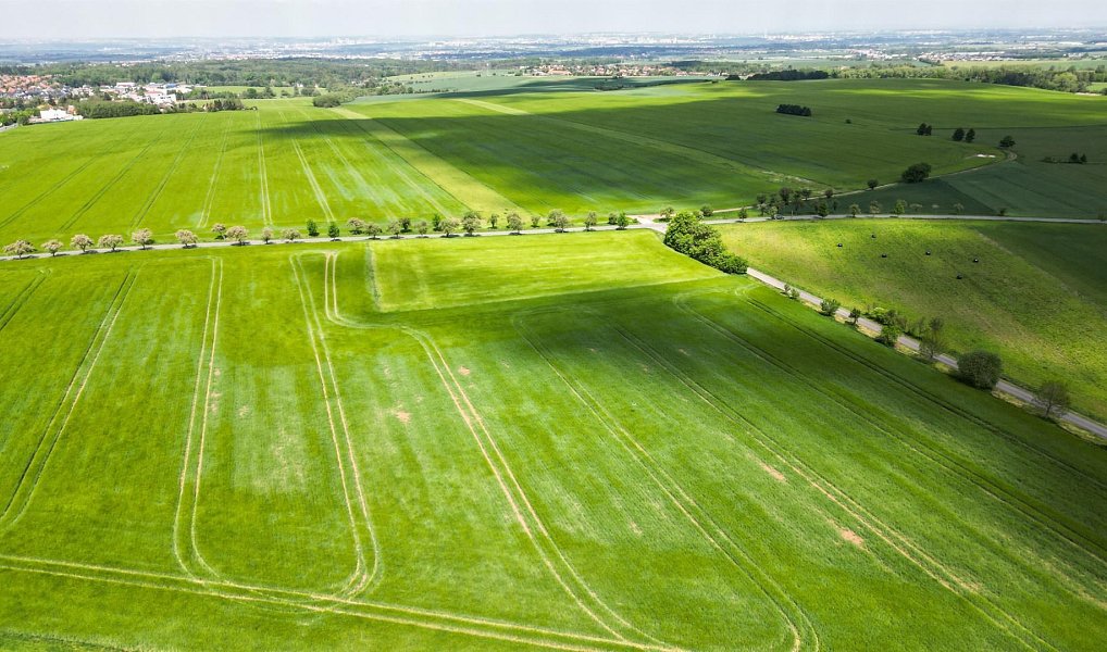 Prodej stavebního pozemku 801 m², Sulice – náhled fotky 4