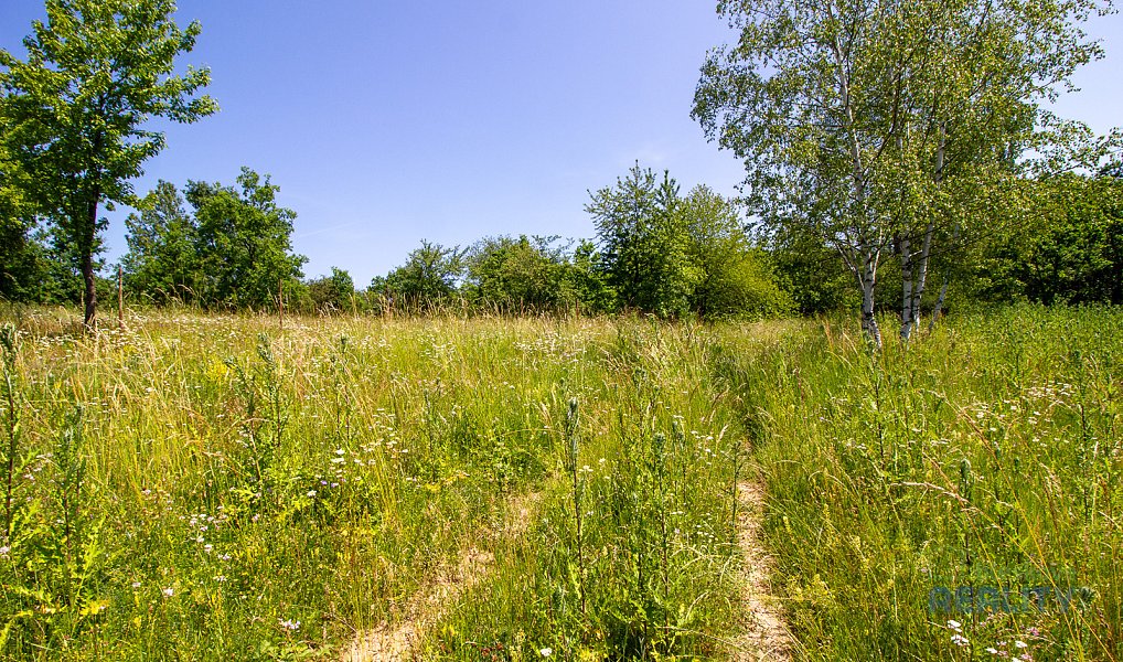 Prodej komerčního pozemku 10 599 m², Praha – náhled fotky 5
