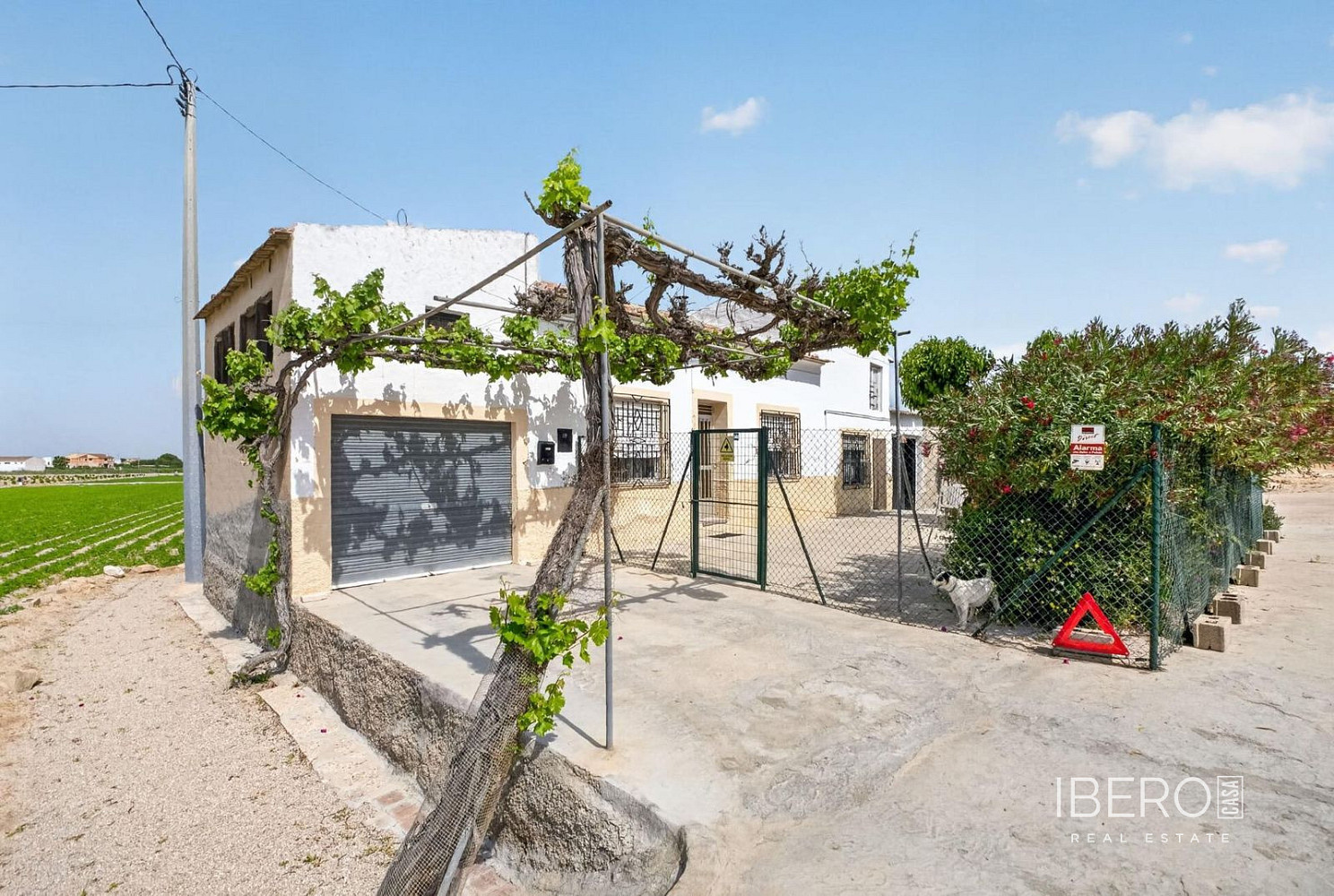 Casa 4+kk – Orihuela, Casco Histórico - Vista 3