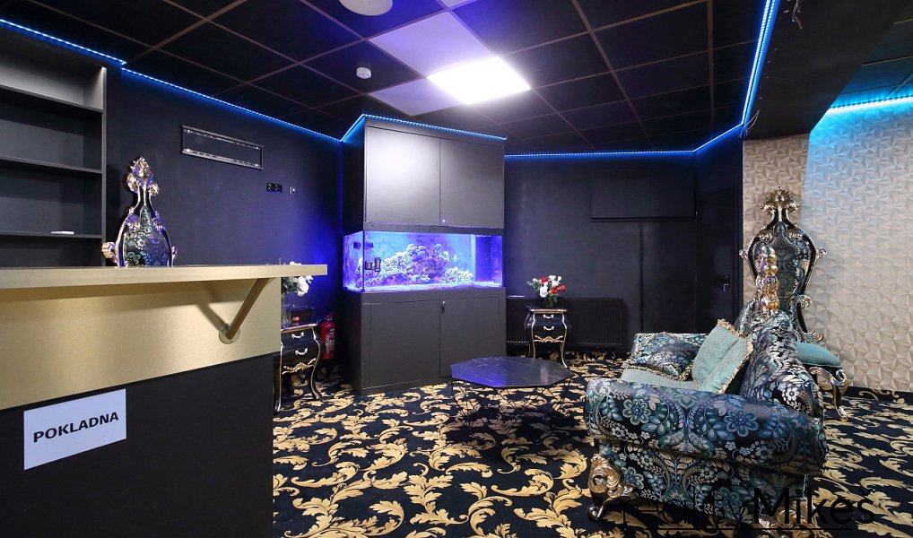 Pronájem obchodních prostor 351 m², Liberec – náhled fotky 11