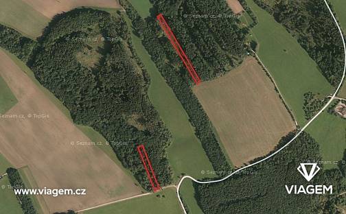 Prodej lesa 1 394 m², Bojkovice, okres Uherské Hradiště