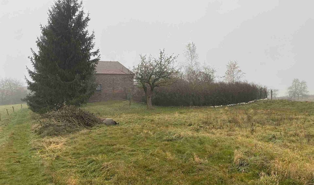 Prodej pozemku 566 m², Černousy – náhled fotky 5